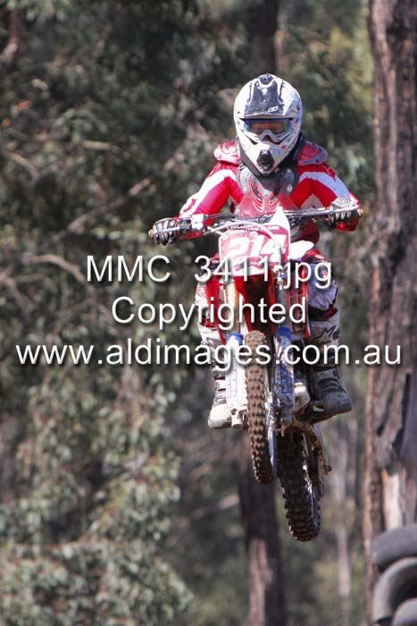 445x677 pixels (61K)